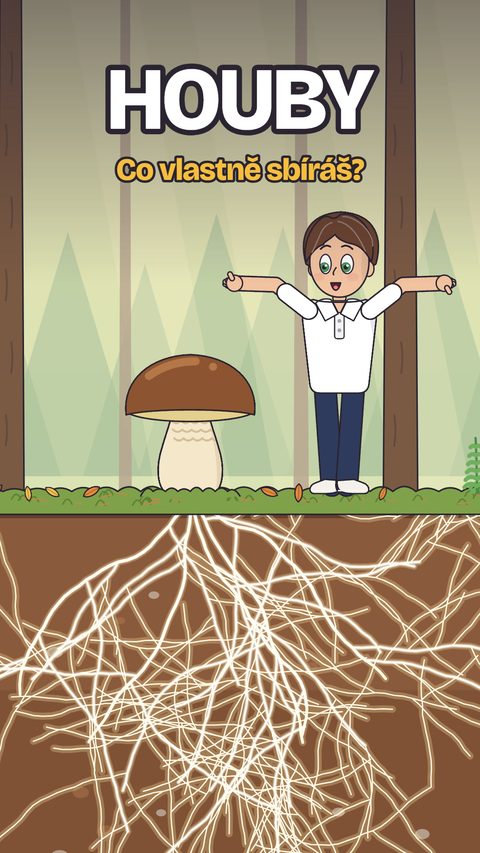 Obálka videa: Řezat, nebo vykroutit? Co je vlastně houba