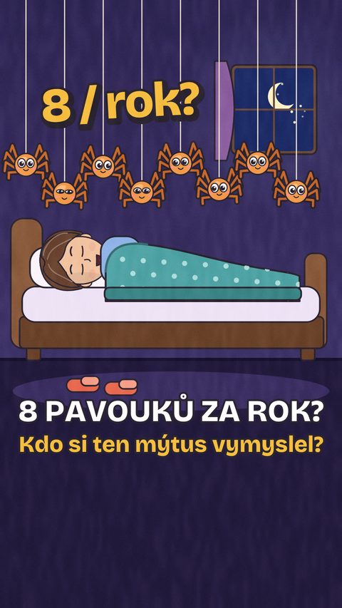 Obálka videa: Spolkneš opravdu 8 pavouků za rok ve spánku?